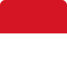 Account TikTok ADS Indonesia · Currency: USD · With VAT · Automatic Payment · Email Included